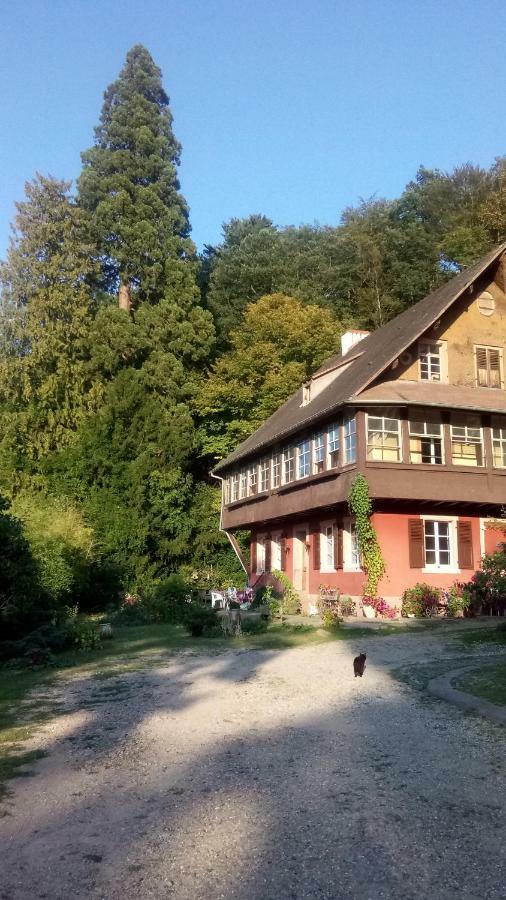 Gite "Cadichon" Munster  Exterior foto